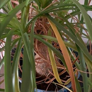 Meet your Posher, Heidy